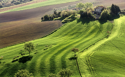 Landscape: Deep Green by .Gianluca