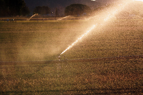 Irrigating the Fields
