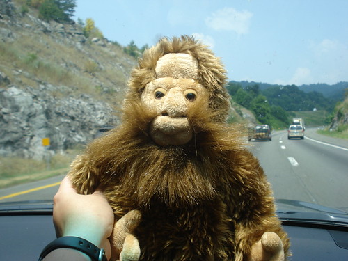 Bigfoot Sighting | by Woodstock 22