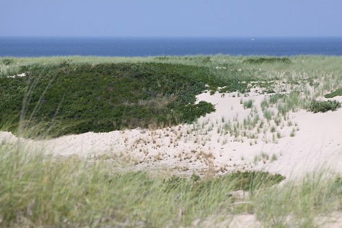 CapeCodJuly2010-11 | by BigRockBoston