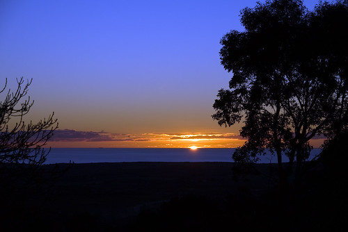 blue trees sunset shadow sky orange tree silhouette sunrise large australia land smaller 2010 willunga