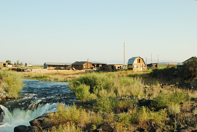 part of the cottonwood ranch in idaho