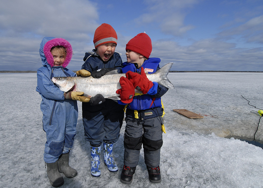 Лагерь дети арктики 2024. Арктика для детей. Рыбалка летом в Арктике. Дети Арктики лагерь.