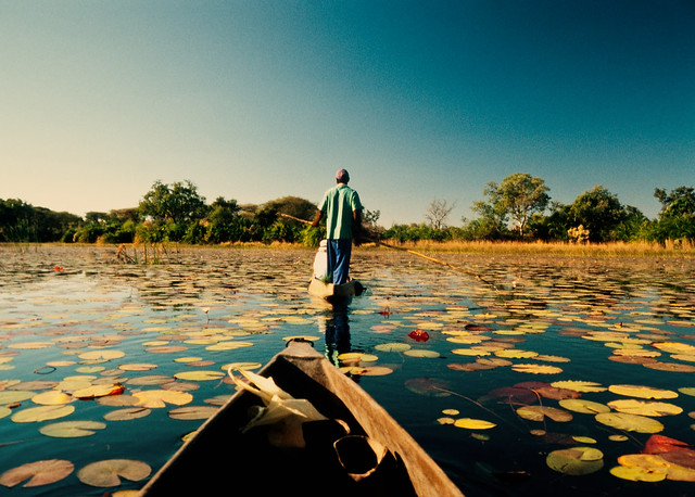 Okavango Delta // Okavango River