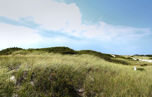 220/365: The Dunes | by sadkins34