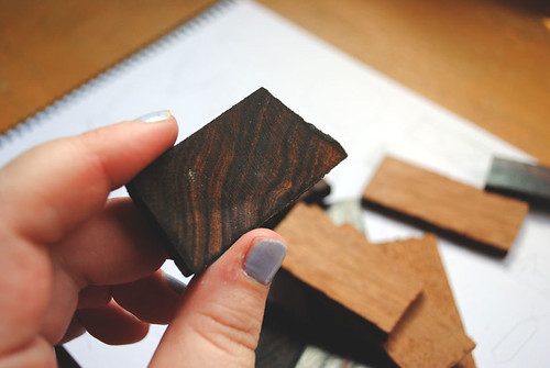 cocobolo | by beckajayne