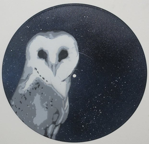 Owl stencil on vinyl