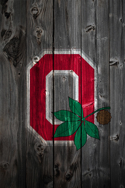 Ohio State Buckeyes Alternate Logo Wood iPhone 4 Background