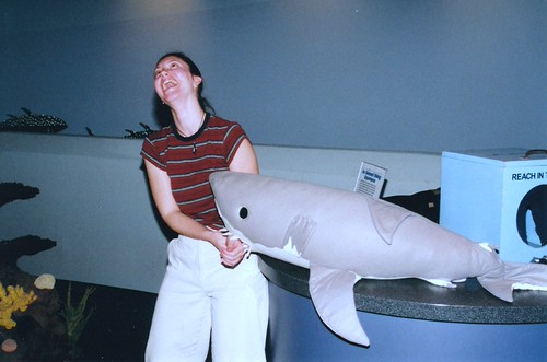 SharkAttack | by myshineyredcar