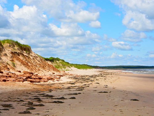 ocean sunlight canada seaweed beach nature landscape day cloudy dunes atlantic pei brackleybeach