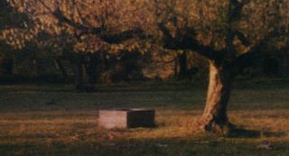 Tree and Box Detail