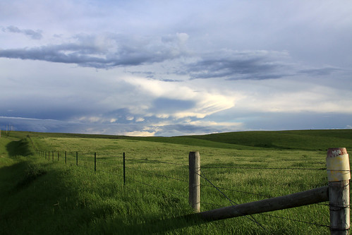 blue sky storm tree green field grass clouds fence evening montana farm gray overcast prairie lewistown judithbasin