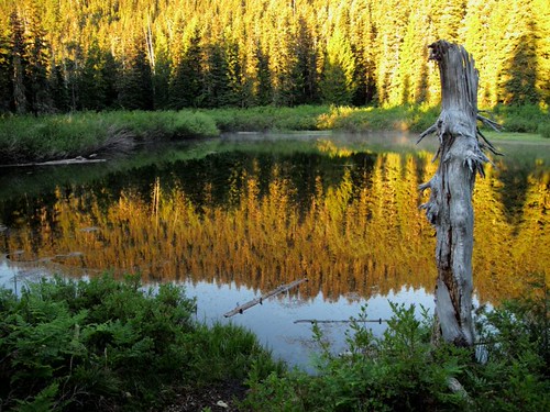Welcome Lakes_10-07-18_0007 by hiway99w, Morning at Upper Welcome Lake.summer oregon sunrise hiking backpacking marioncounty mounthoodnationa