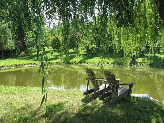 The pond at River School Farm