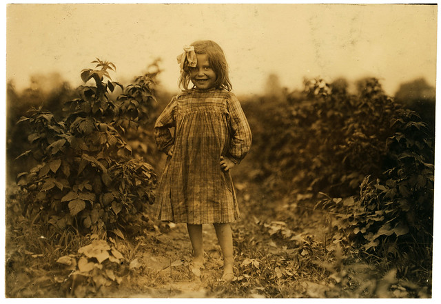 Lewis Hine: Laura Petty, a 6 year old berry picker on Jenkins farm, Rock Creek, Maryland, 1909