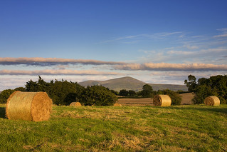 Mt Leinster,Co Carlow [1]