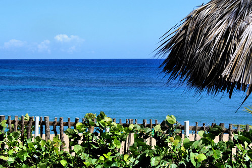 ocean wood blue sea summer sky plants beach water clouds umbrella fence palms sand day bright puertorico sunny shade pr caribbean boricua isabela parador borinquen marhau