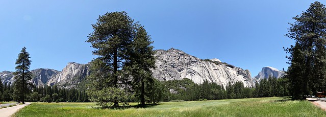 Mountain Meadow, Yosemite
