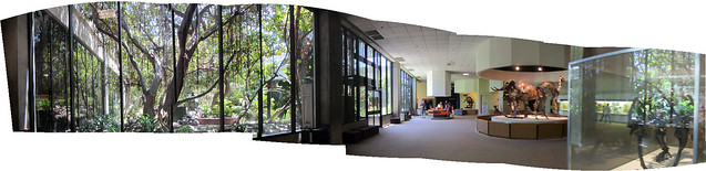 Panorama of the Page Museum showing the atrium garden