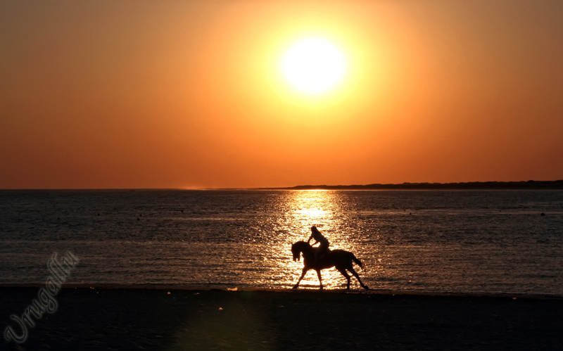 Galopando en la playa by Urugallu