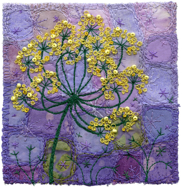 Fennel Blossoms 3