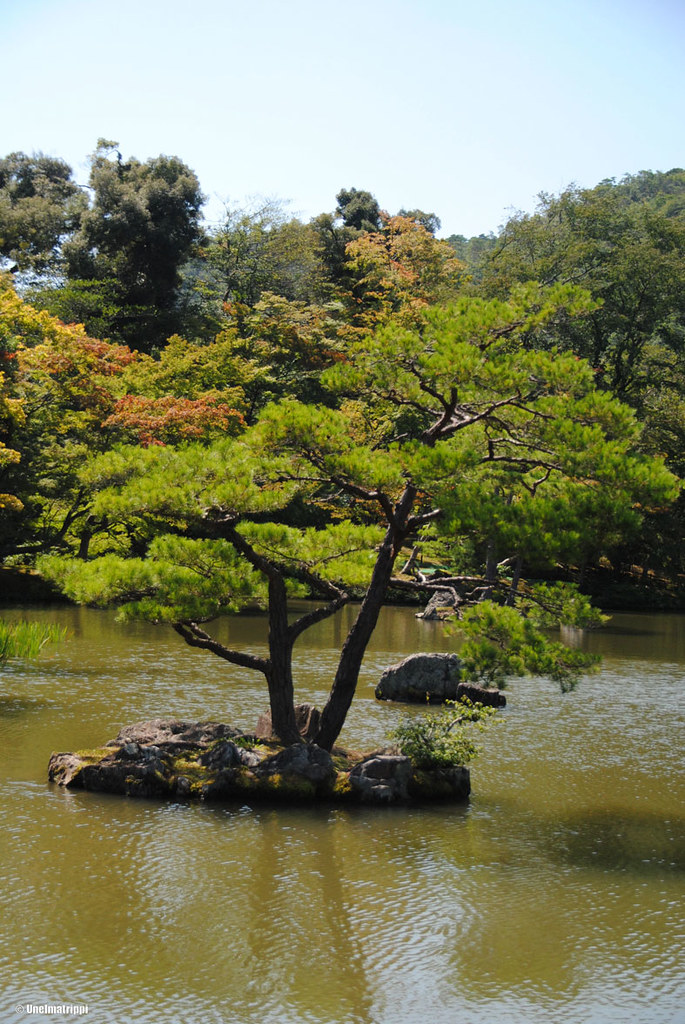 Kinkakujin temppelin vehreää puutarhaa