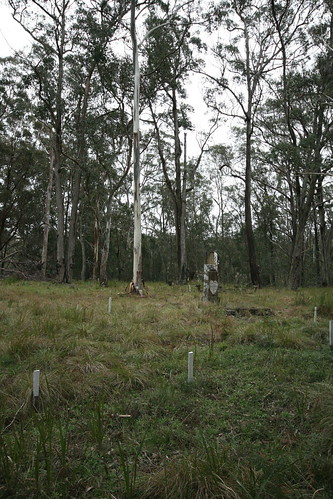 abandoned cemetery rural wilsons downfall liston