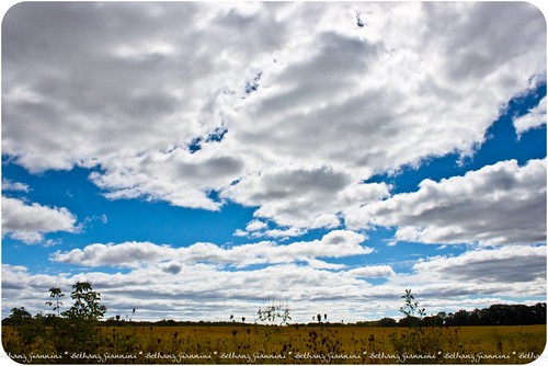 blue sky white nature field clouds landscape horizon grasses soybeans