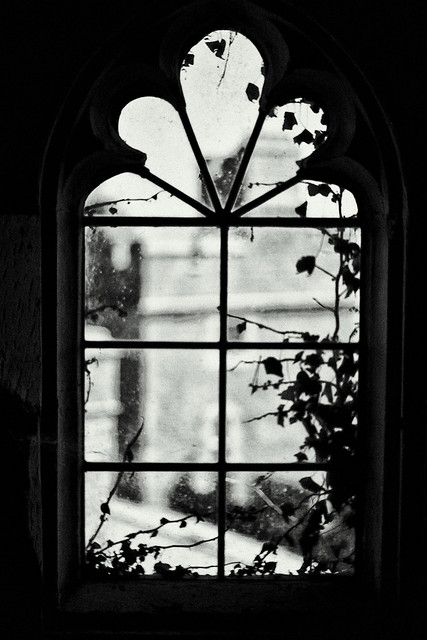spooky window