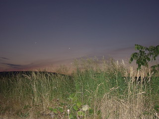 Summer Field at Night