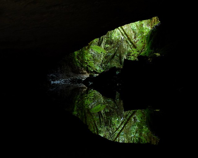 Stream Entrance, Limestone Creek, Omoto Forest, Westland