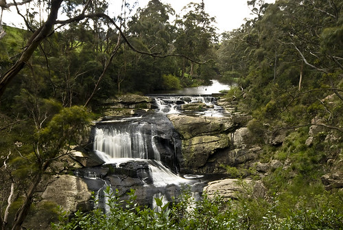 landscape waterfall australia agnesfalls