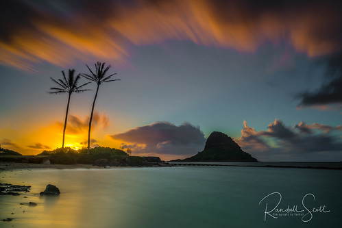 project365 kaneohebay sunrise hawaii ocean kaneohe landscape palmtrees sky seascape photographybyrandall longexposure clouds kualoabeachpark