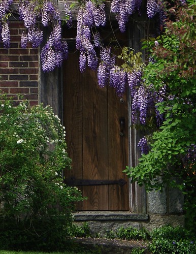 pictures door camera flowers blue trees light shadow portrait sky brown sun sunlight white house black flower color green art home window nature grass leaves yellow stone architecture canon garden landscape fun photography grey daylight photo spring still view image time pentax photos pics gray dream picture violet romance east photograph picnik