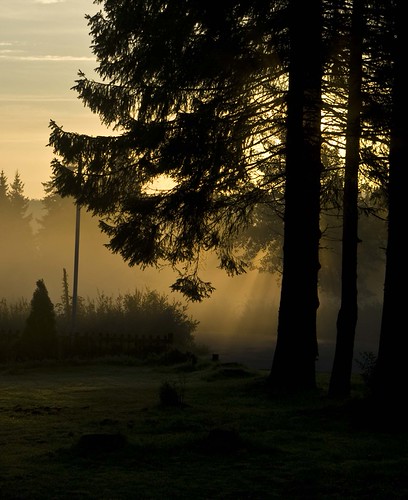 SHOT3433_1551 by gAz roper, sunrise germany pentax 2010 niedersachsen sonnenberg k20d gazroper