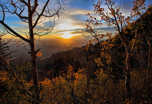 trees sunset mountain leaves landscape calendar