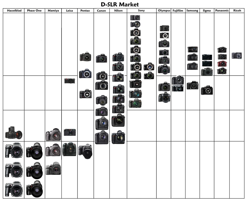 D-SLR Market: Version Four