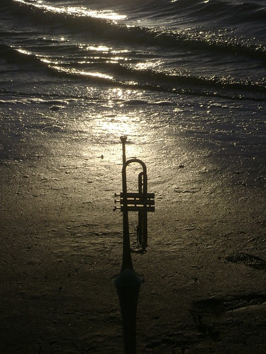 music art beach nature water marine trumpet kingdom intimacy sunsetmatuatauranga
