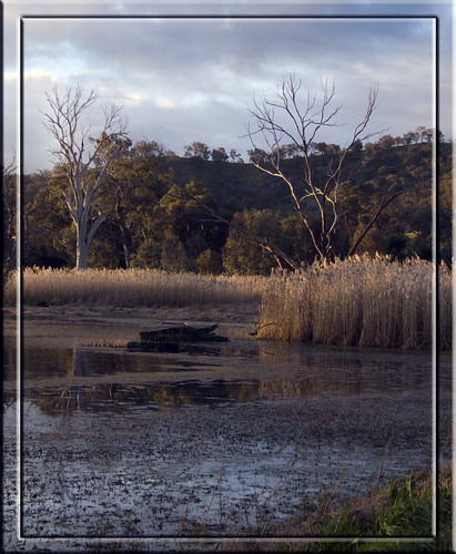 trees reflection landscape wetlands worldwidelandscapes “flickraward”