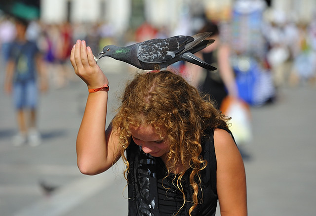 Feeding the pigeons in St. Mark's Square