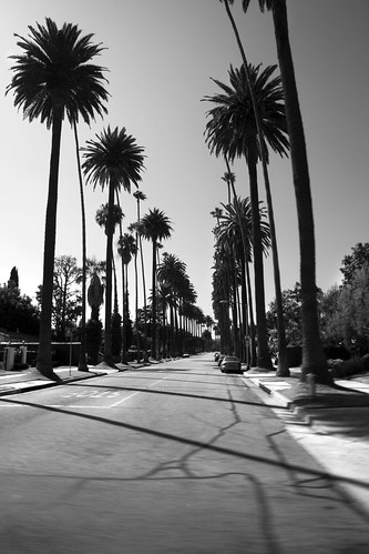 Beverly Hills | Tim Whelan | Flickr