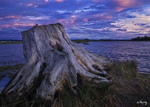 county sunset river washington stump slough everett snohomish worldland sking5000