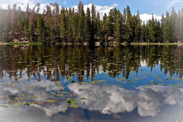 Nymph Lake, Rocky Mountains