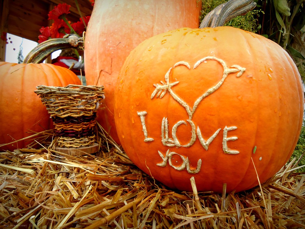 I love you, pumpkin by On Bradstreet. 