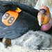 Flickr photo 'California condor and chick in nest cave' by: USFWS Pacific Southwest Region.