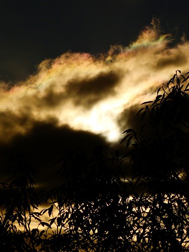 trees colors alberi clouds sunrise nuvole alba sting colori steviewonder iridescenze mercogliano iridescences