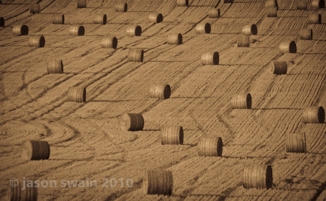 Hay Bales (zoom abstract)