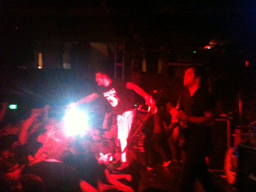 @SensesFail Killing it!  #sharkattack | by p_steadlur