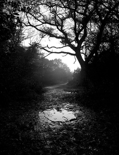 Mudpool | by Pshygon