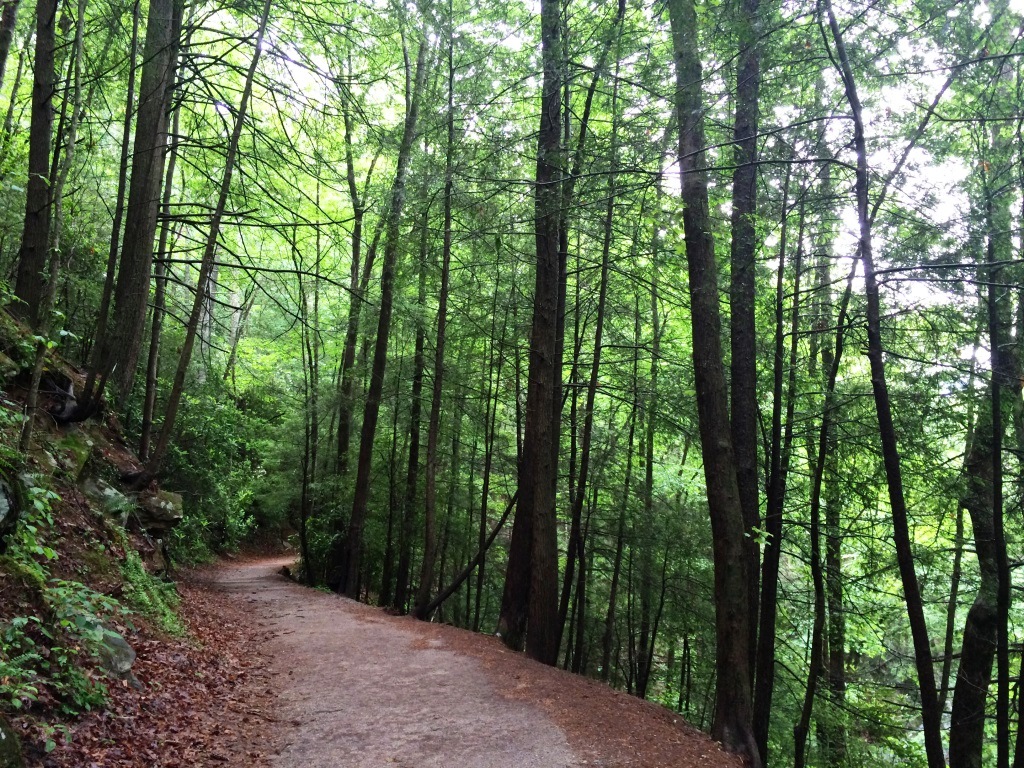 Waterfall Access Trail